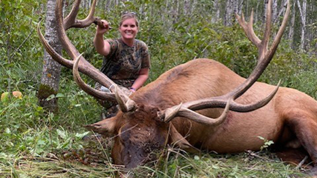 Giant Bull Elk Harvested In Northern Minnesota WCCO CBNC