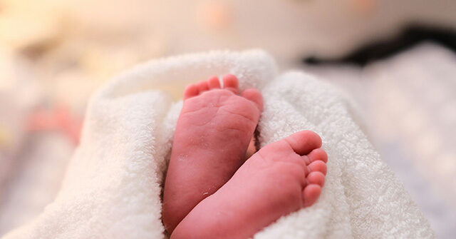 Newborn Abandoned in Indianapolis, Police Search for Mother